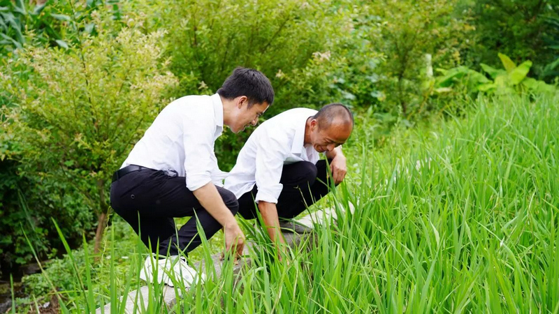 实践团队深入田间地头开展调研。awc777万象城娱乐官网供图