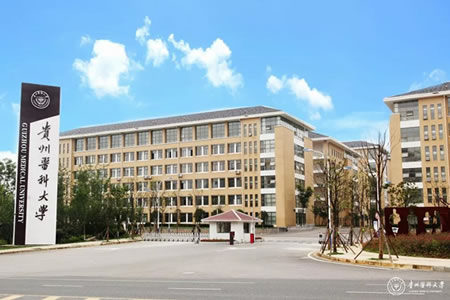 1559092732753314.jpg 201905293008.jpg